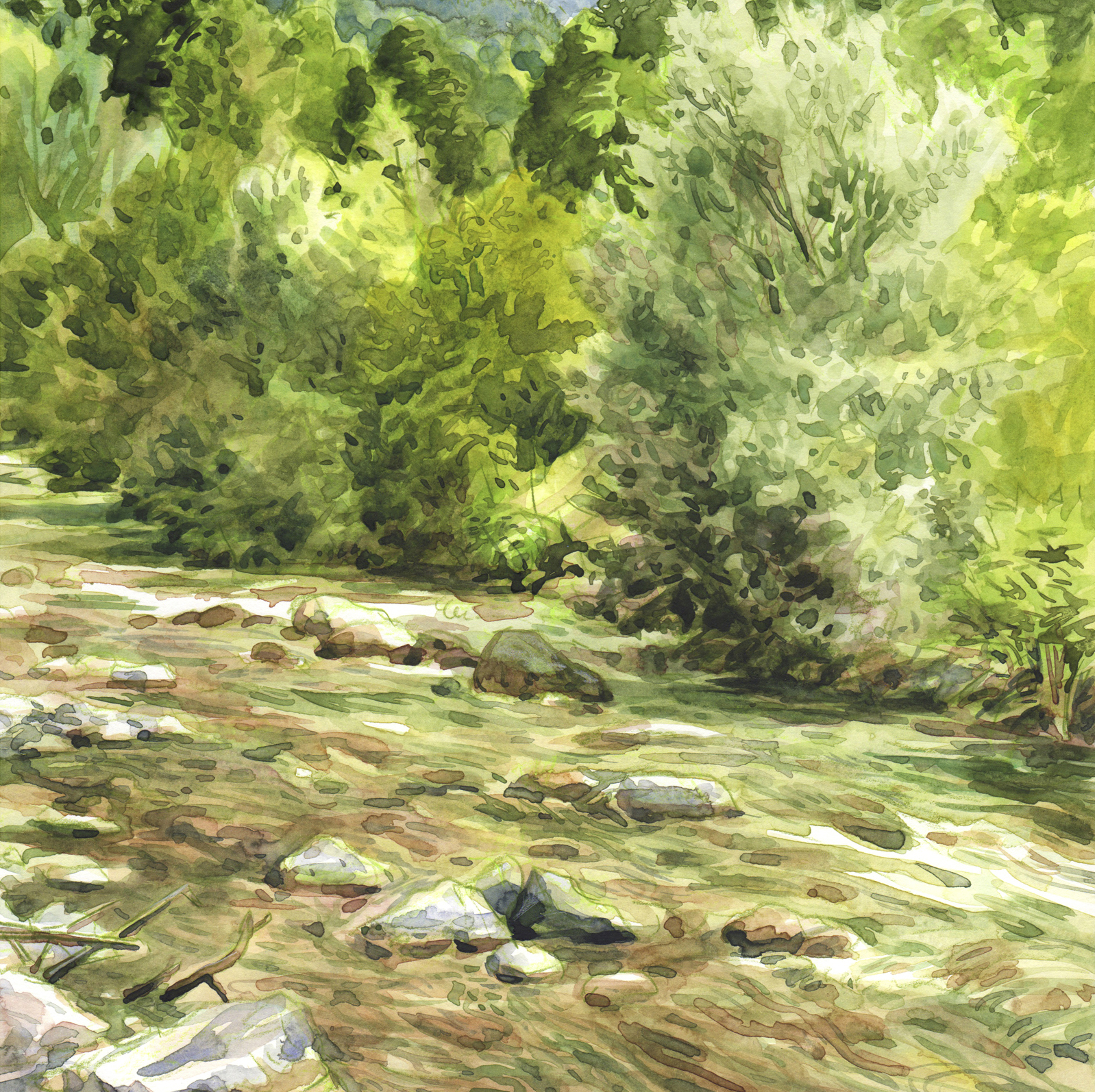 Pierre Amoudry : Nature à l’eau ! (3h)